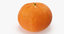 3D fruit mandarin mango melon