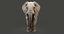 elephant modeled rigging animation 3D