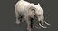 elephant modeled rigging animation 3D