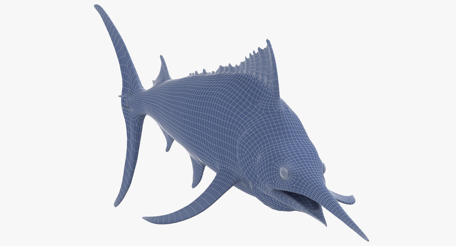 Black marlin 3D model - TurboSquid 1390971