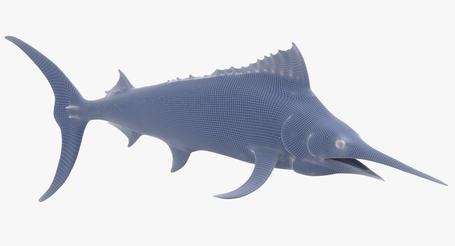 Black marlin 3D model - TurboSquid 1390971