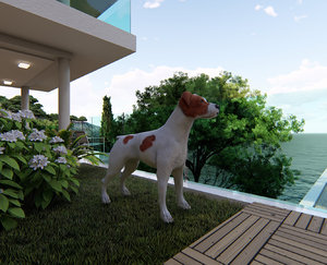 jack russell terrier 3D model