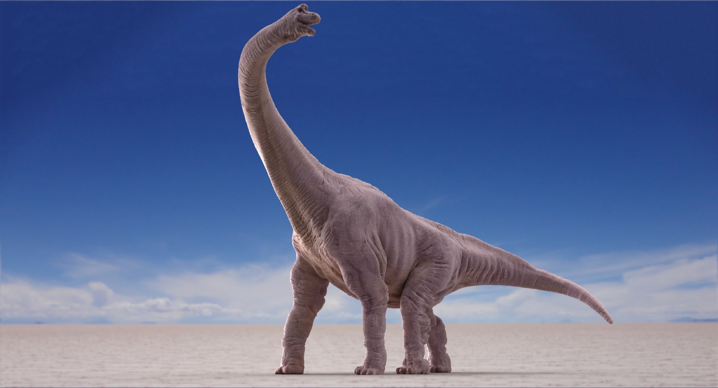 brachiosaurus 3d view