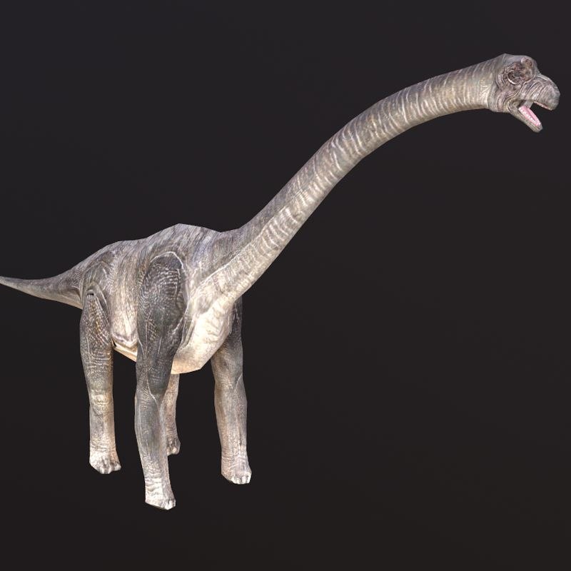 brachiosaurus 3d