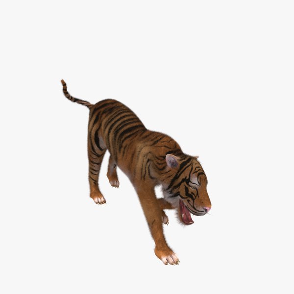 Tiger Blender Models for Download TurboSquid