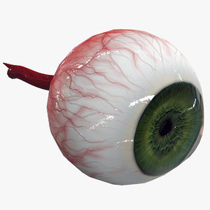 3D human eye model
