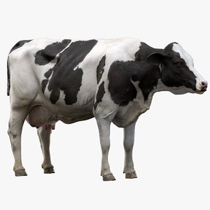 cow dairy nofur 3D model