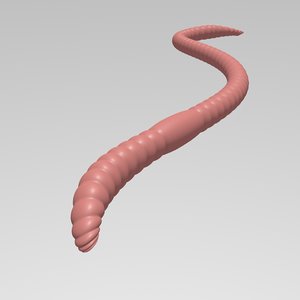 earth worm 3D