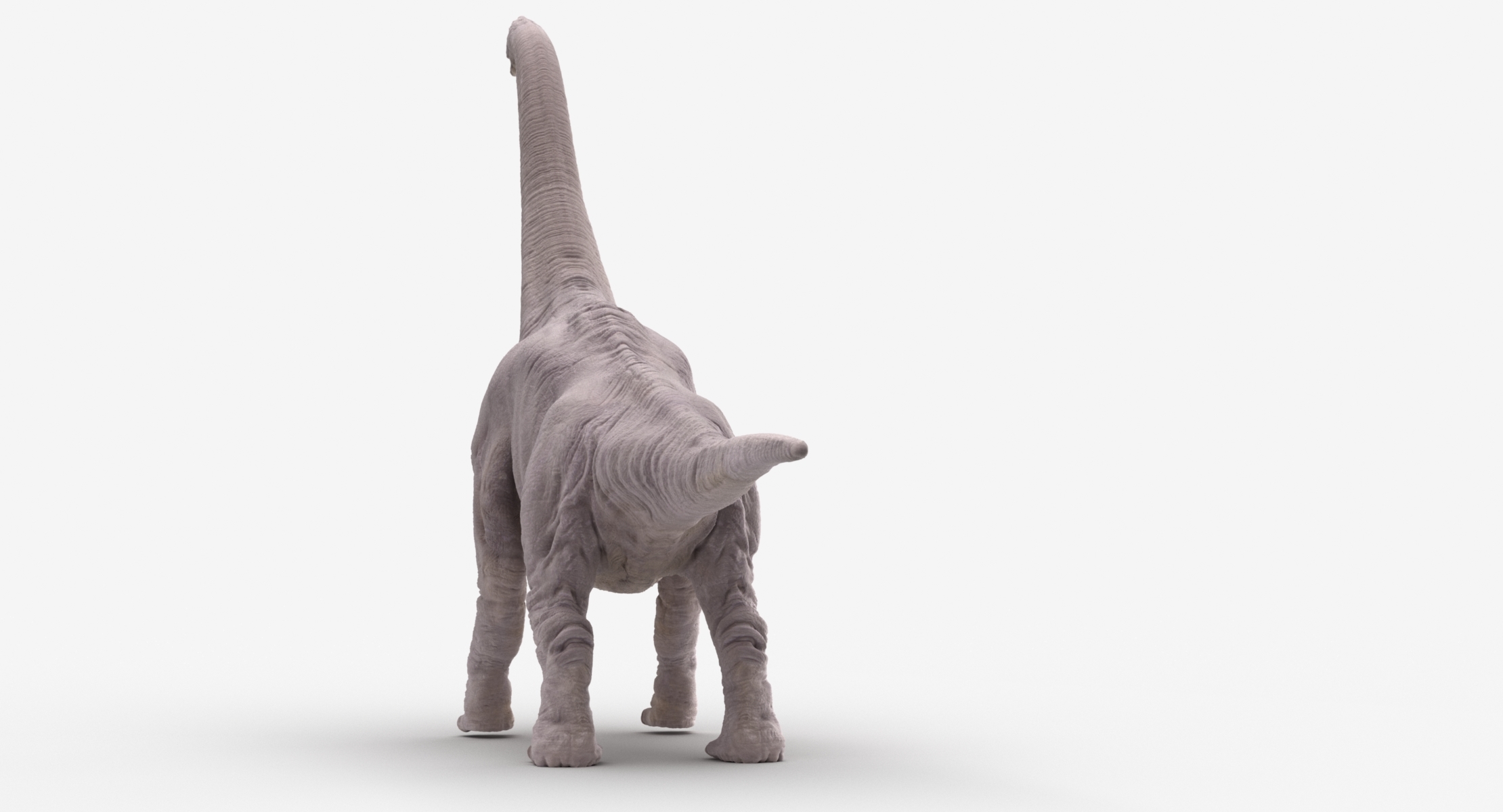 brachiosaurus 3d