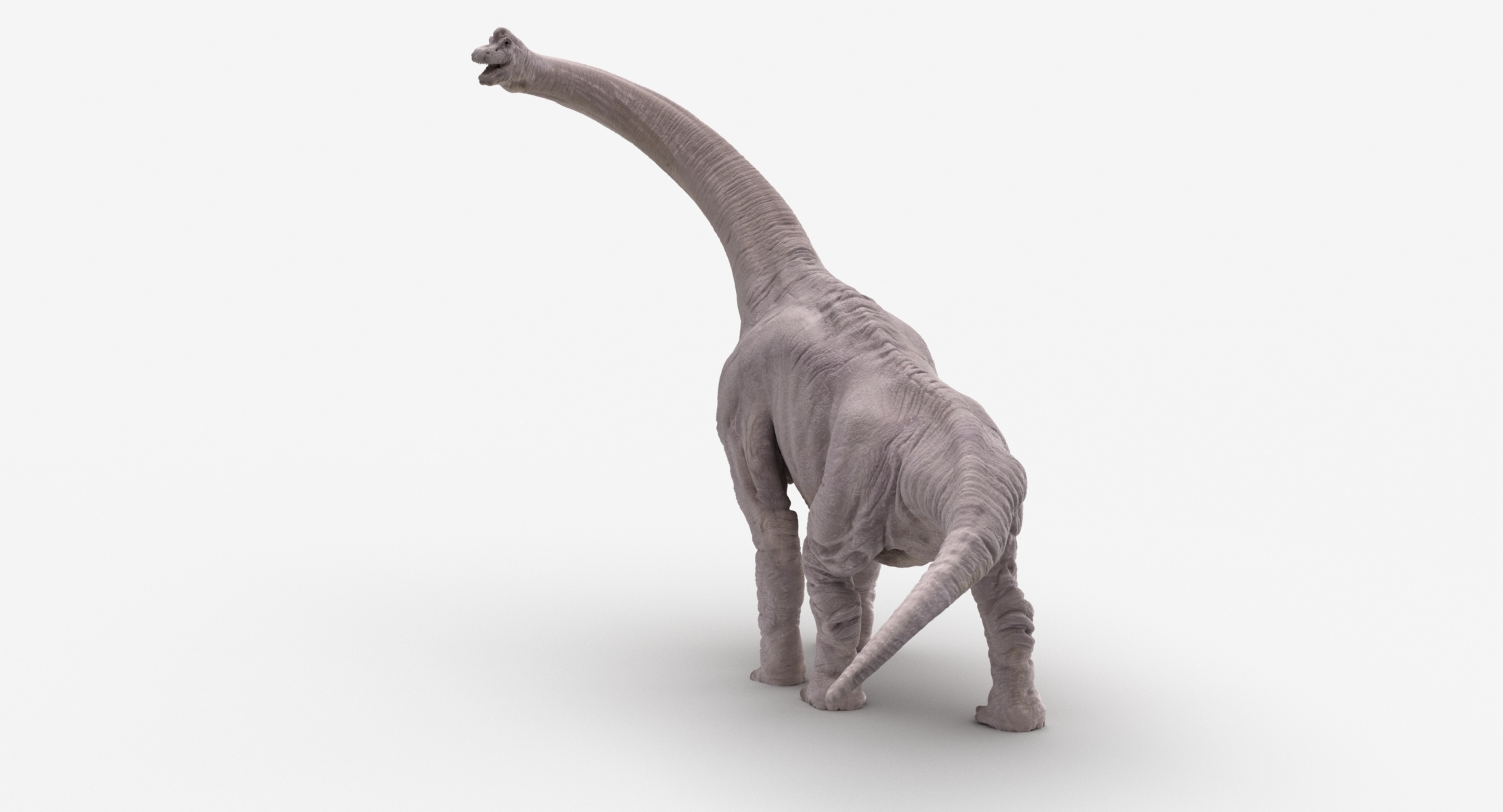 brachiosaurus 3d