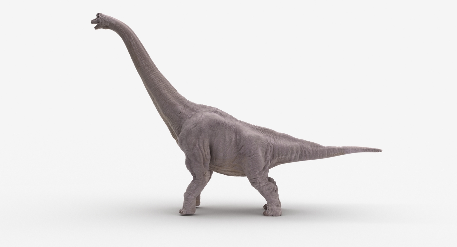 brachiosaurus 3d view