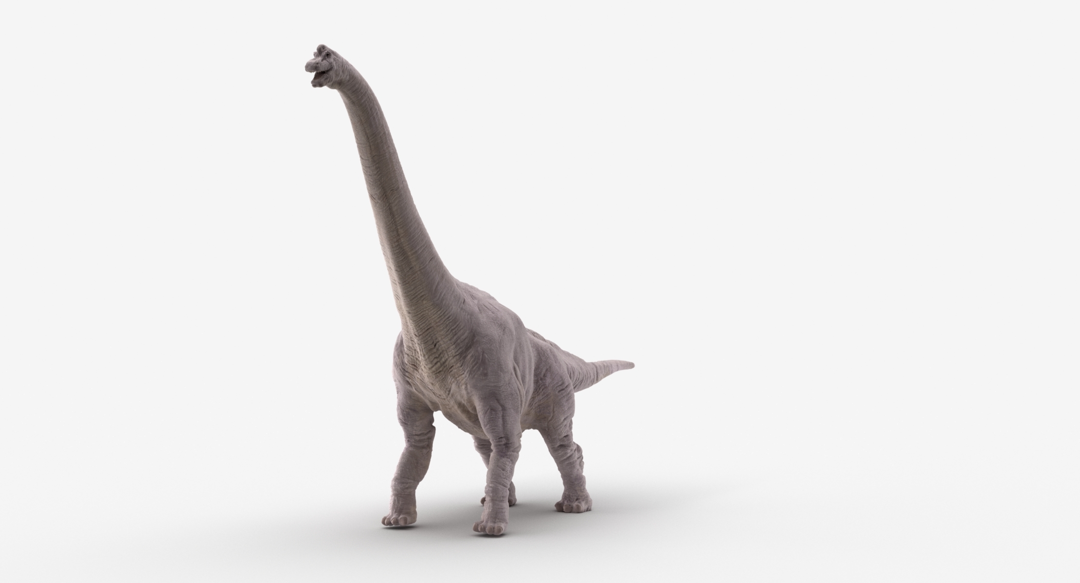 brachiosaurus 3d