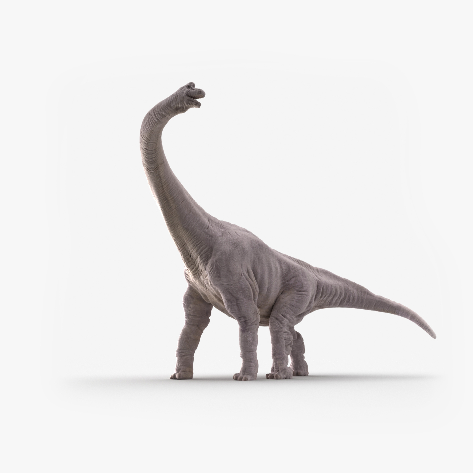 brachiosaurus 3d view