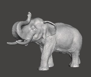elephant 3D