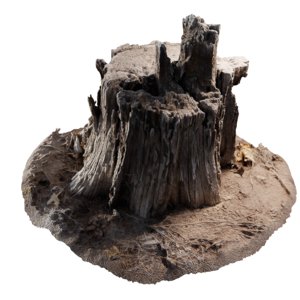 rotten stump 3D model