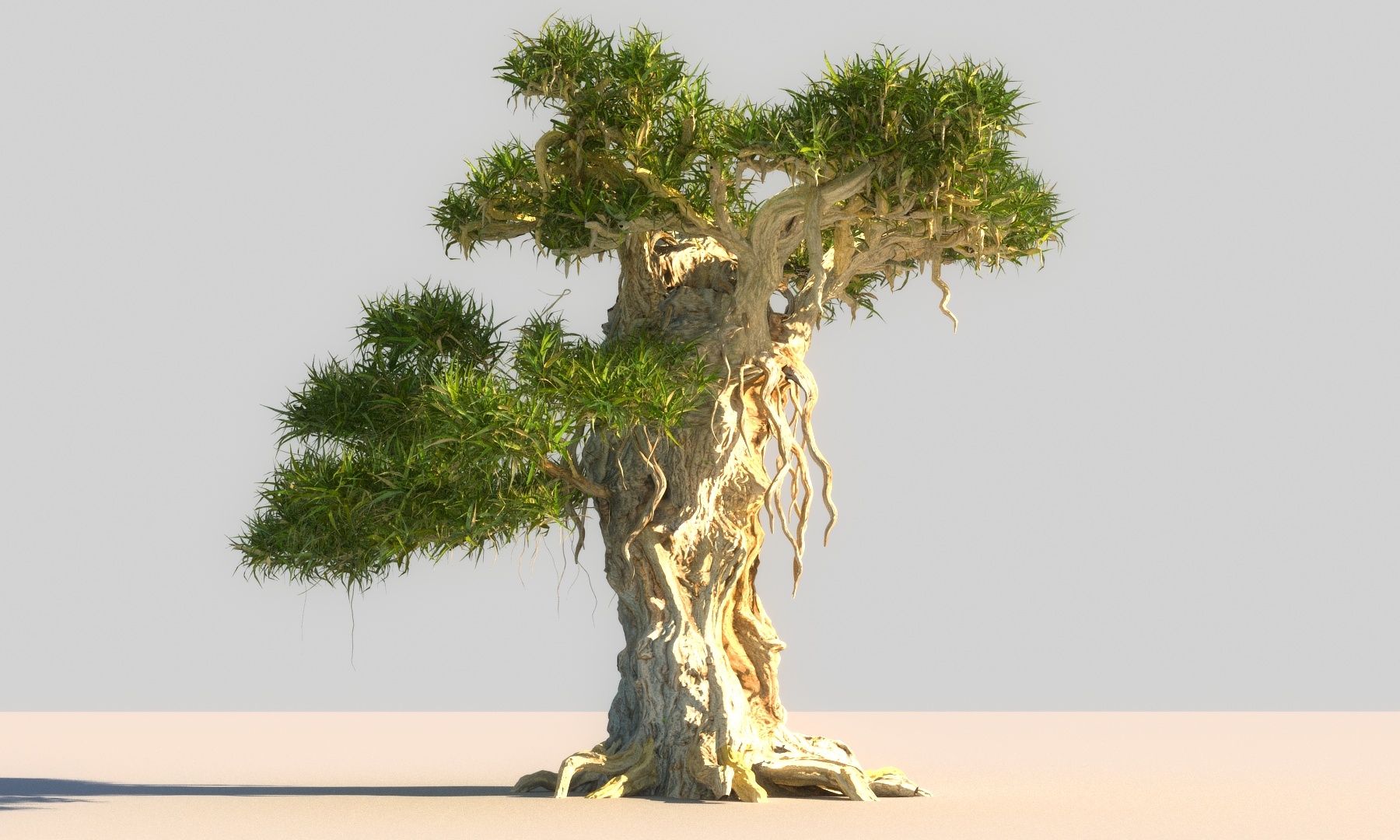 Dragon Tree Model Dragon tree pack hd 3D model - TurboSquid 1392230