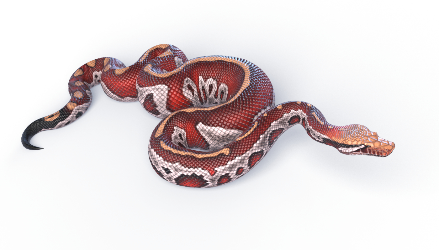 动画血蟒3d模型
