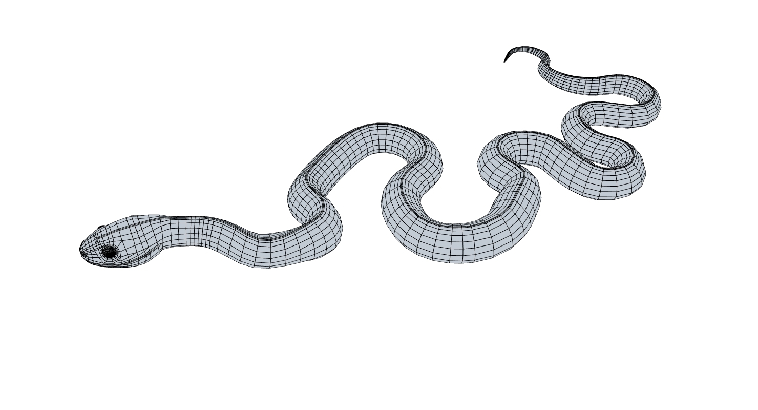 3d mangrove snake reptile animation