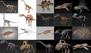 18 in1 dino skeleton model