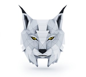 3D head lynx