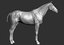 horse thoroughbred 3D model