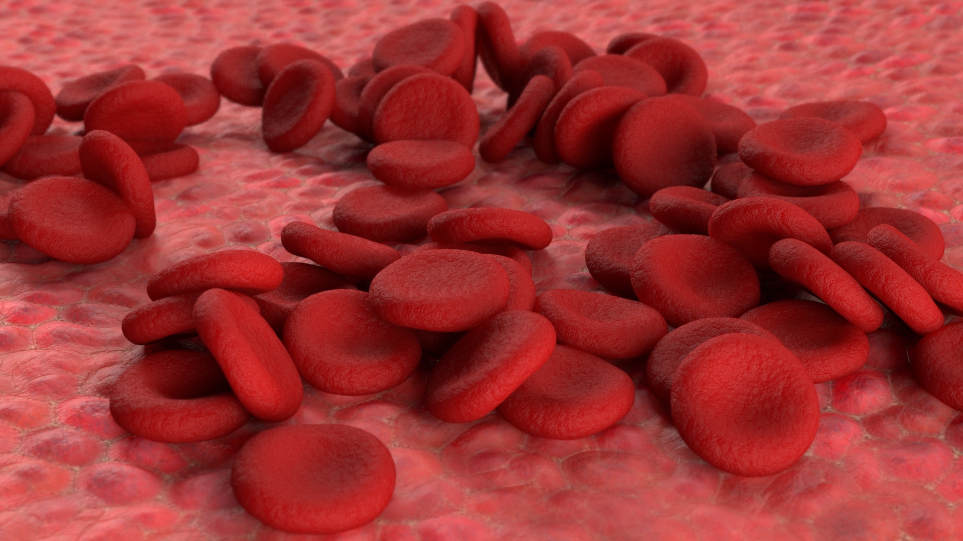 Rote Blutkörperchen 3D-Modell - TurboSquid 1393000