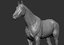 horse thoroughbred 3D model