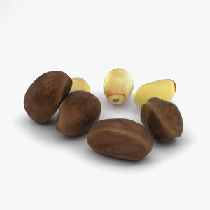 pine nuts 3D model