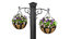hanging potted plants model