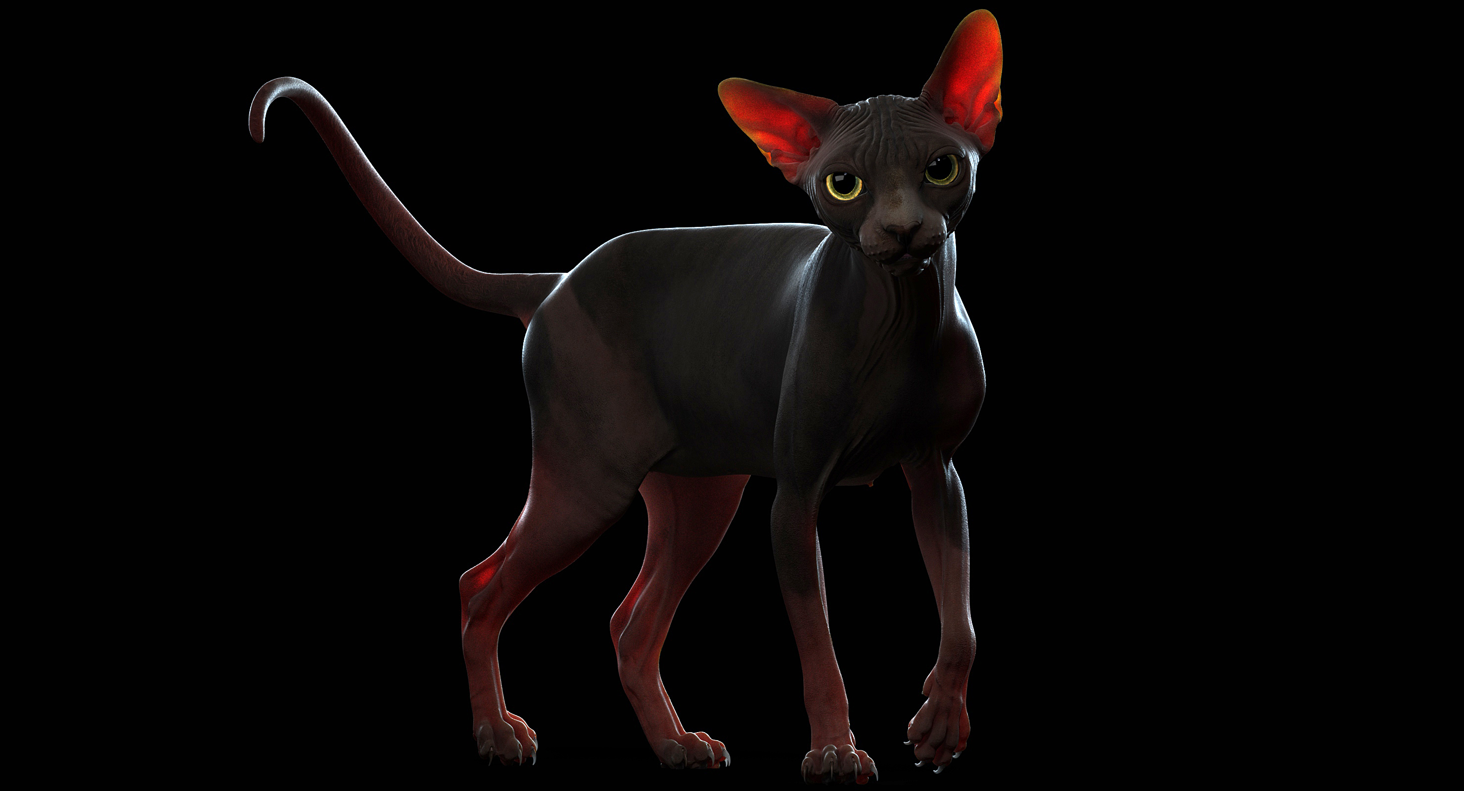 sphynx cat 3d