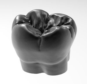 3D molar tooth printing model