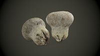 scanned mushroom 3D model