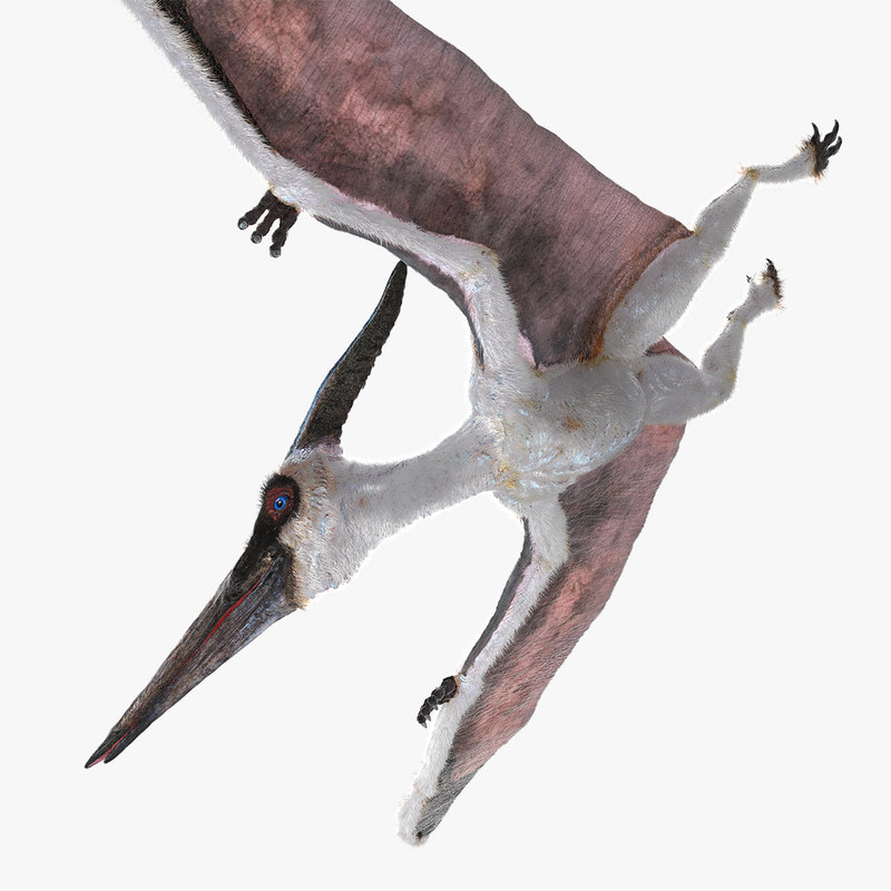 flying pteranodon