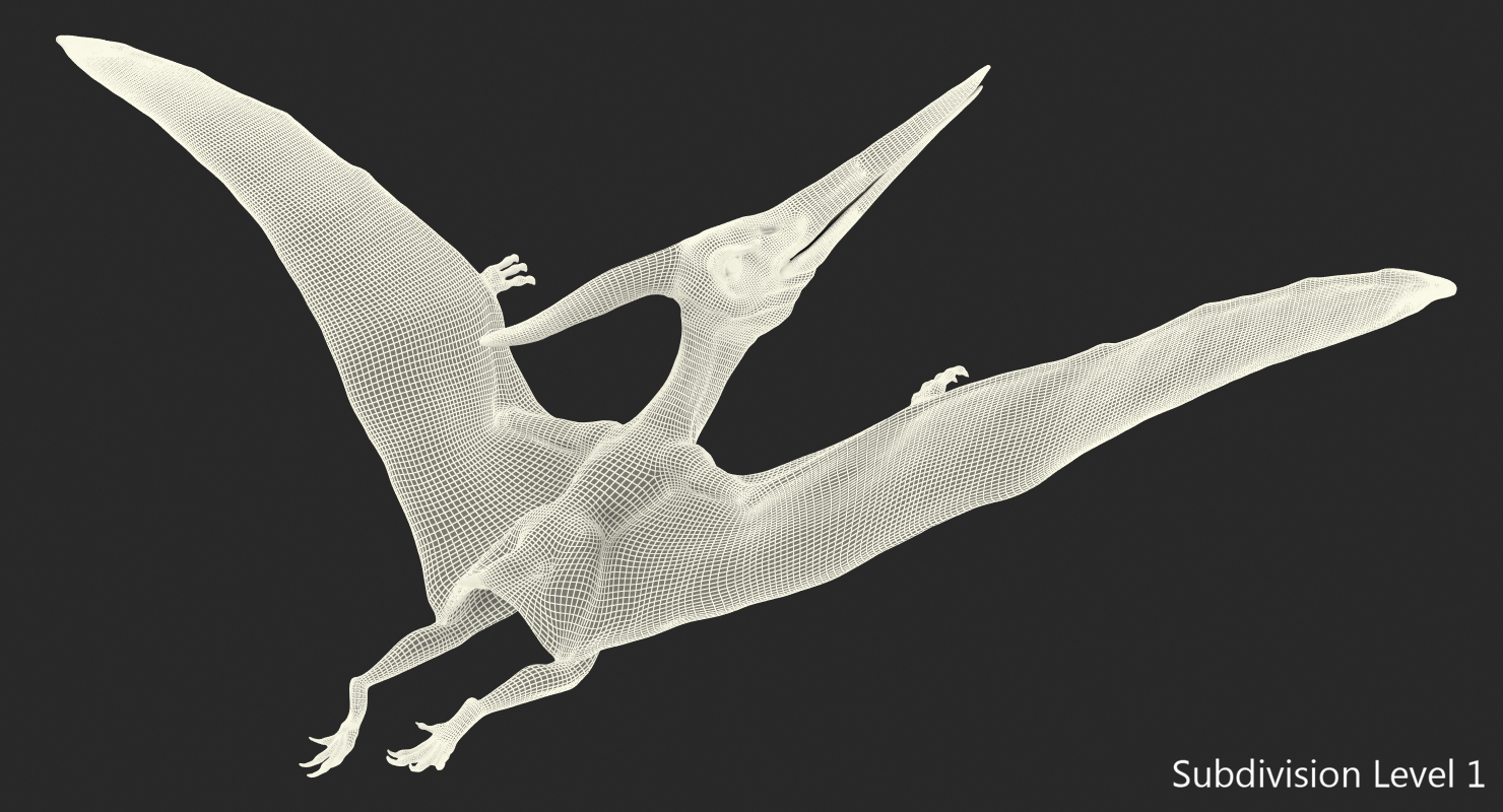 pteranodon wings