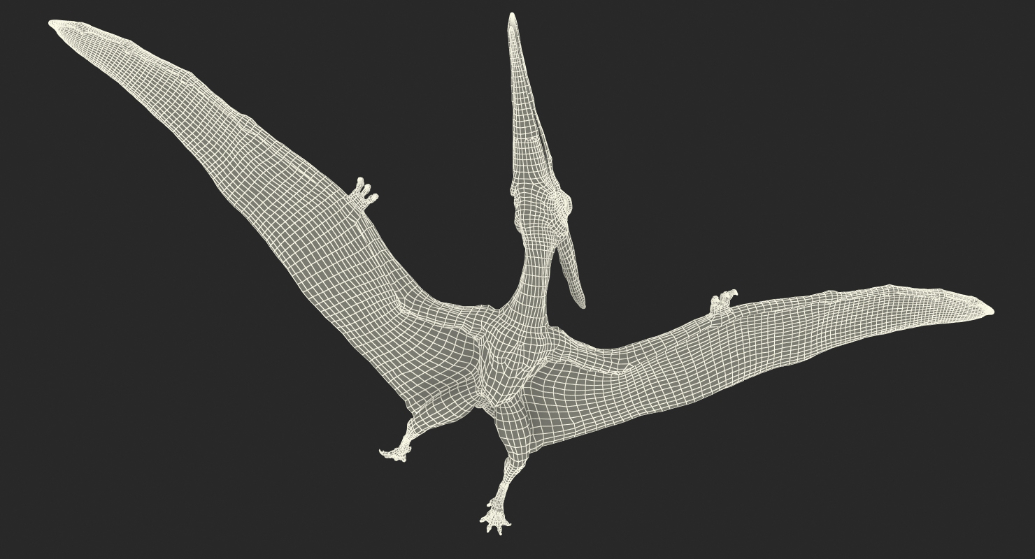 flying pteranodon