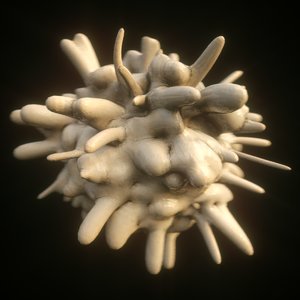 leukocyte macrophage white blood 3D