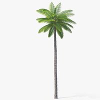 Landscapes 3d models