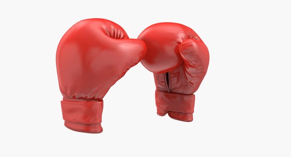 fighting boxing gear