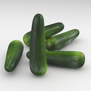 3D courgette zucchini