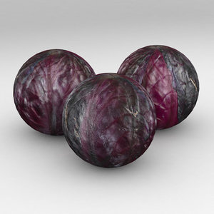 3D red cabbage
