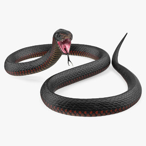 3D california king snake black model