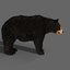 3D wild bear pack animation