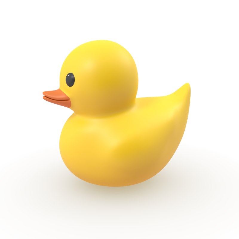 rubber duck toy