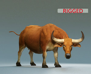 3D model buffalo modeled