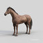 3D horse pro 4 1