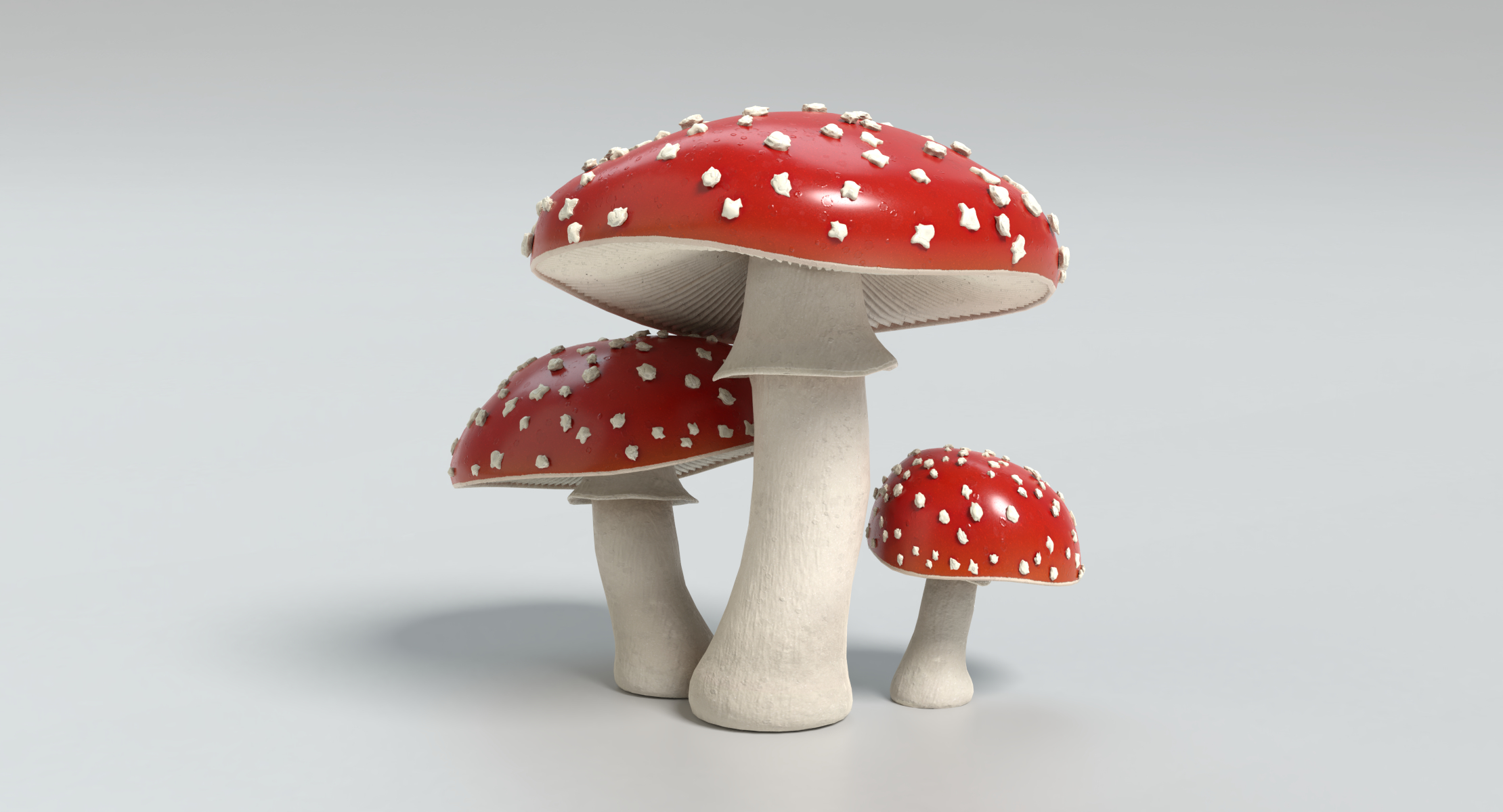 鹅膏菌蘑菇3d模型