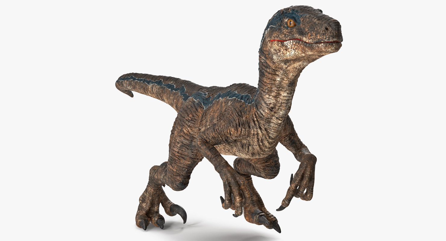 3D velociraptor walking pose - TurboSquid 1395369