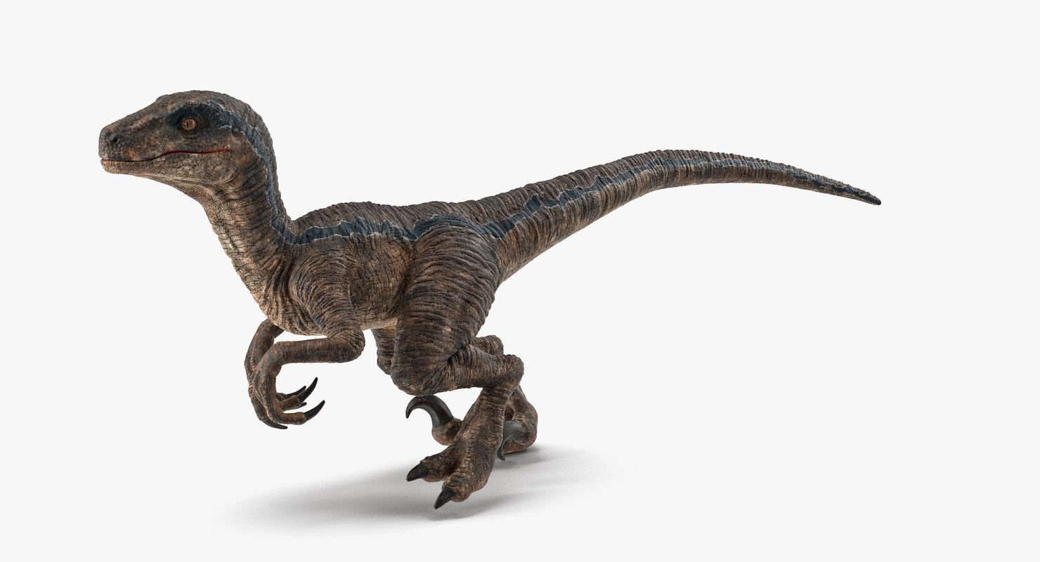 3D velociraptor walking pose - TurboSquid 1395369