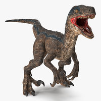 velociraptor realistic