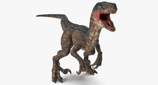 Velociraptor attacking pose 3D model - TurboSquid 1395367